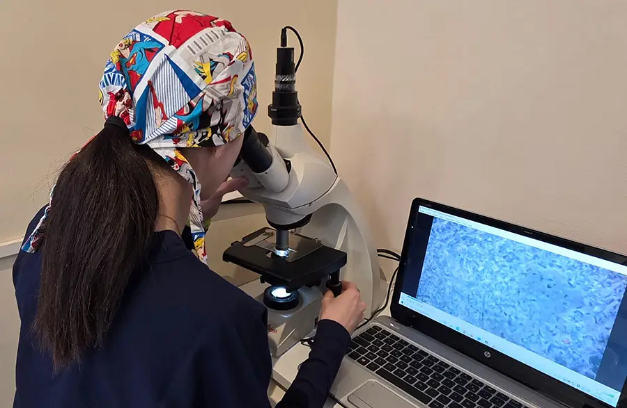 microscope dentaire à Lorgues pour soins de précision